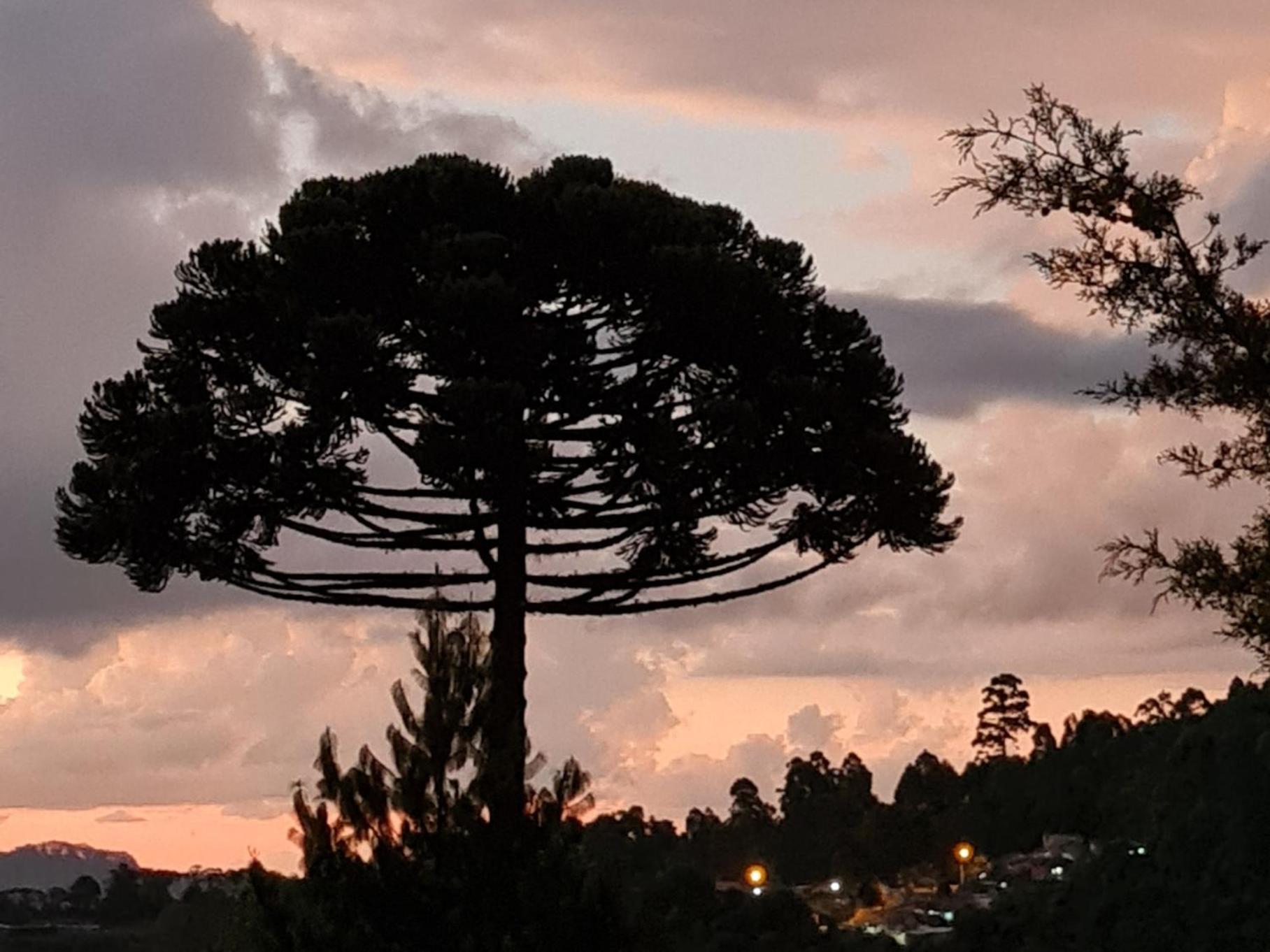 Chales Vila Do Moinho มงชิแวร์จิ ห้อง รูปภาพ